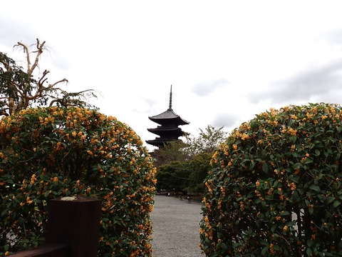 ③PA282034.JPG