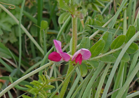 P3140461