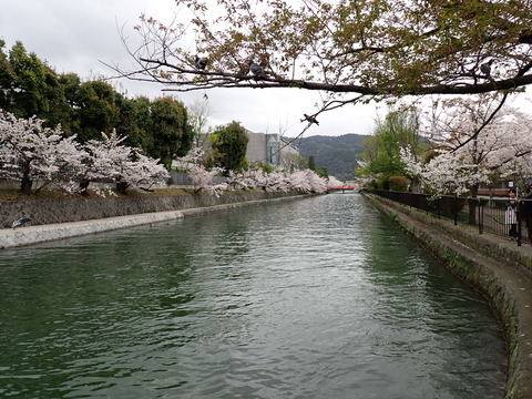 ②P4080680