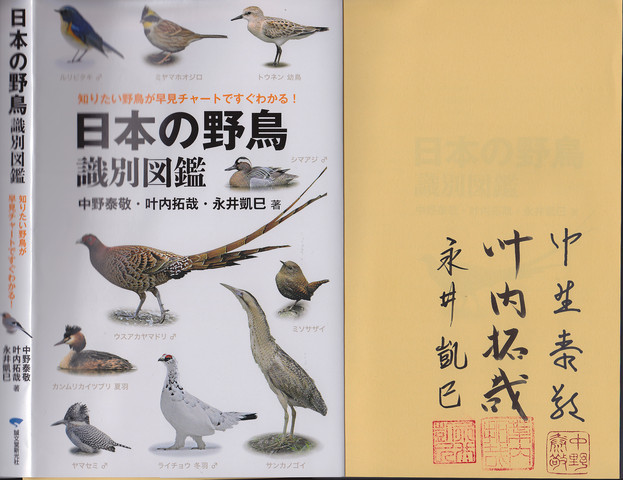 野鳥図鑑 たいかな日記