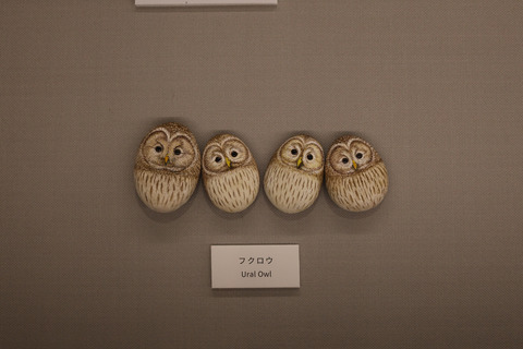 308A5798b➉