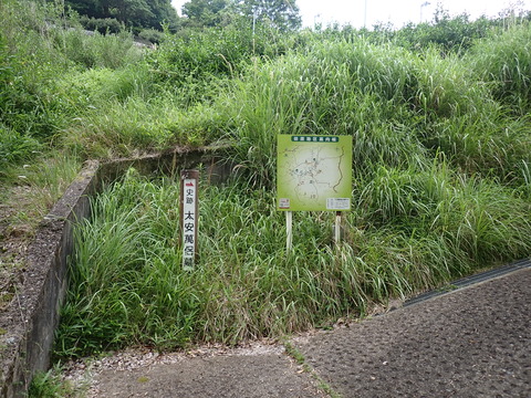 ③P6197307