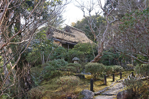 308A8542④