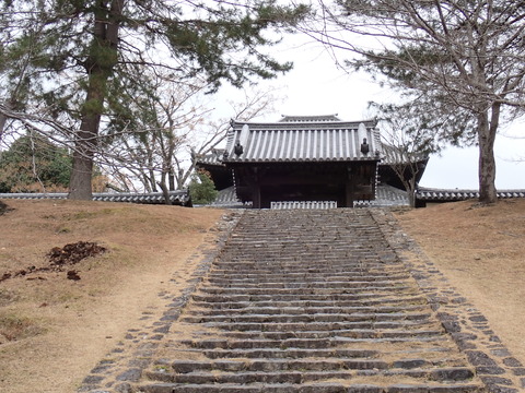 ①P2040024