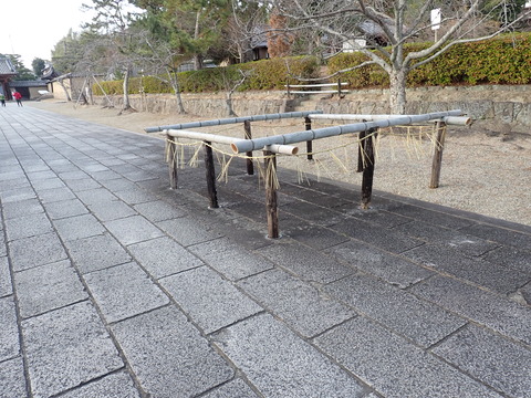 ⑤伏蔵P1033451
