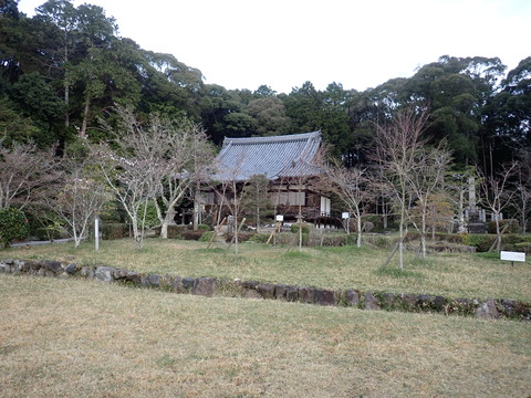 ③P4023923