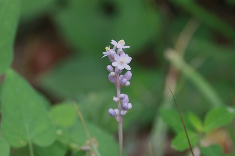 308A0903