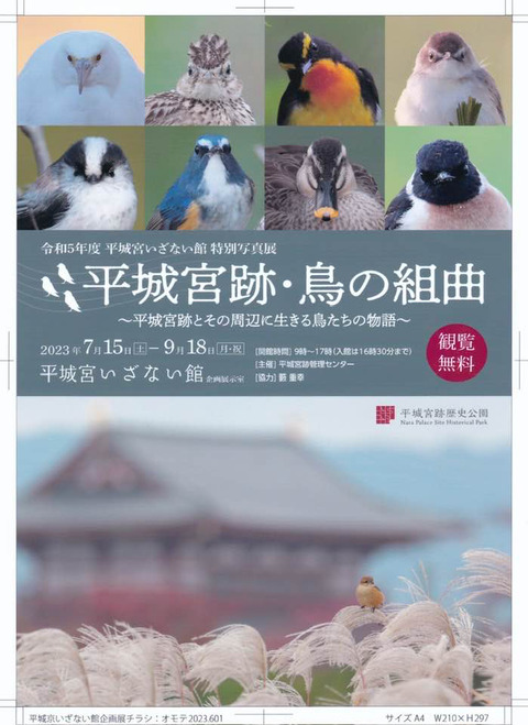 薮さん写真展