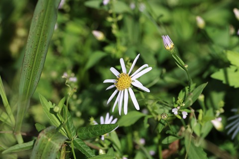 ➁308A4054