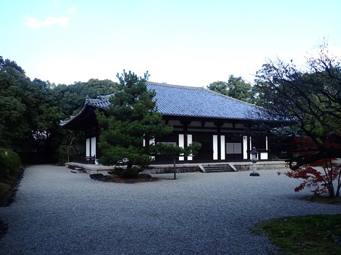③PC033149