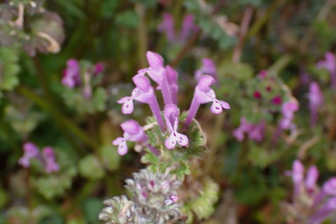 P3156820