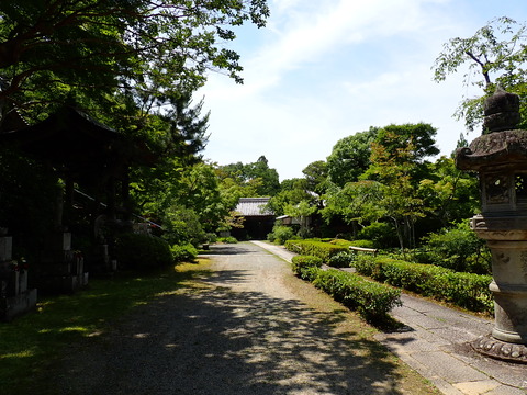 ①P6191133