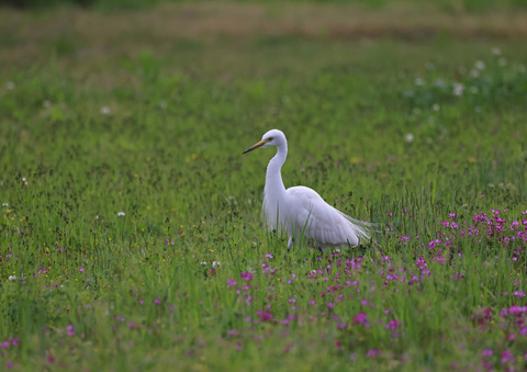 308A5879①
