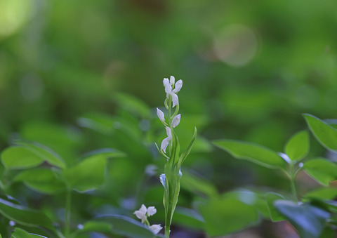 ②308A6127