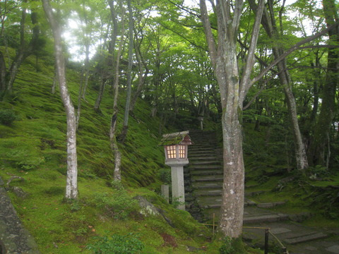 IMG_2489常寂光寺