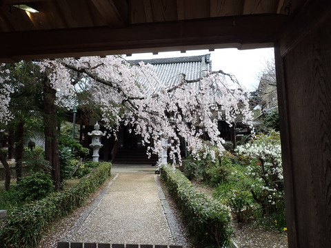④P3316906