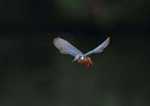 308A2297
