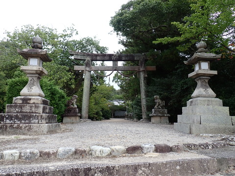 ③P8177589
