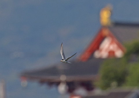 308A8926①