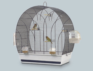 bird cage_03