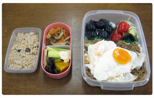 鯛の遊び絵 お弁当箱 Livedoor Blog ブログ
