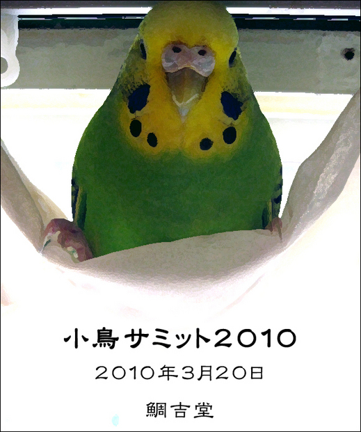 小鳥サミット