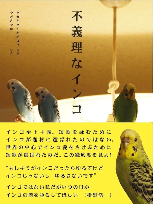 不義理なインコ