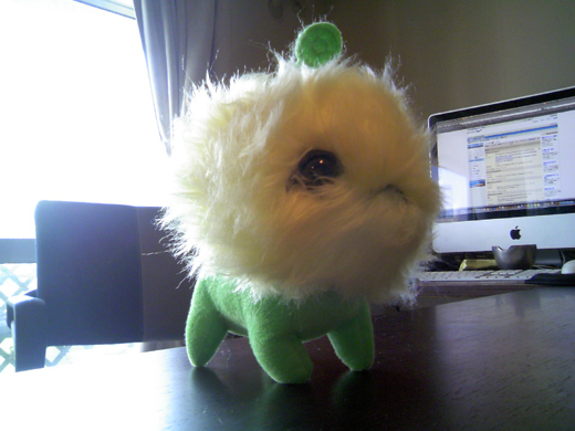 鯛の遊び絵 わが家にナナちゃんがキタ Livedoor Blog ブログ