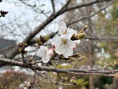IMG_3572