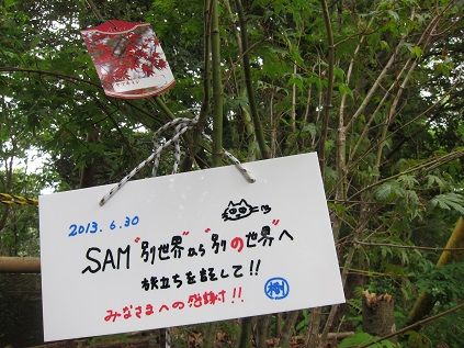 イメージ 11