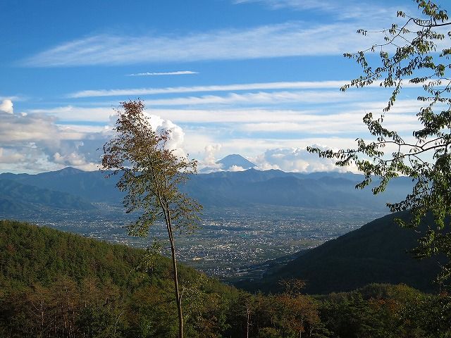 イメージ 10