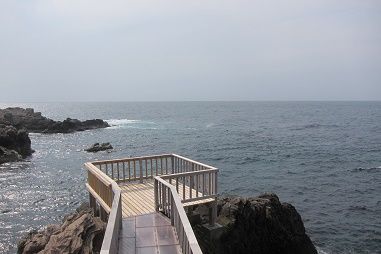イメージ 5