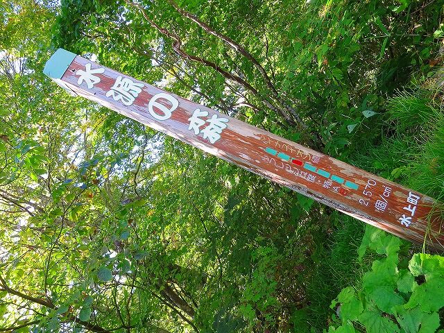 自然の森野営場 奥利根水源の森 リストランテ タイチ 自然の森野営場 奥利根水源の森 リストランテ タイチ
