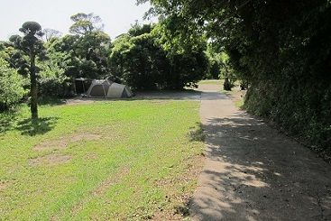 イメージ 11