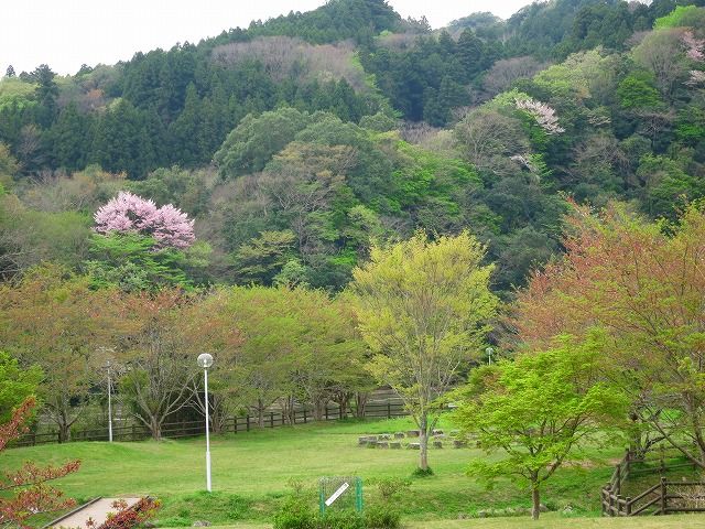 イメージ 1