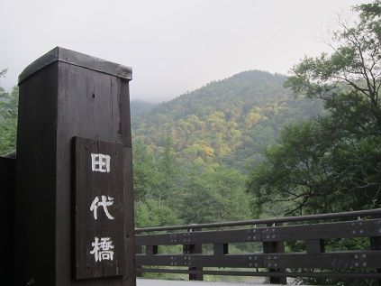 イメージ 5