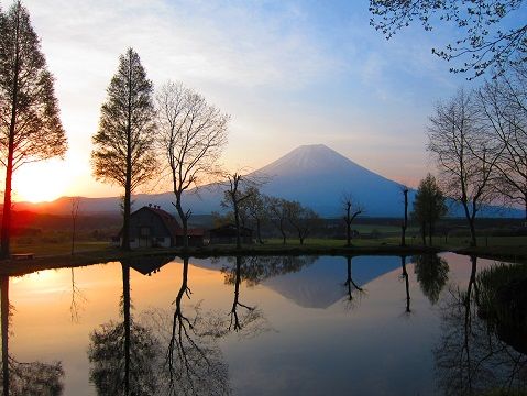 イメージ 11
