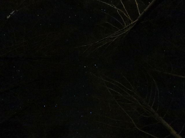 イメージ 21