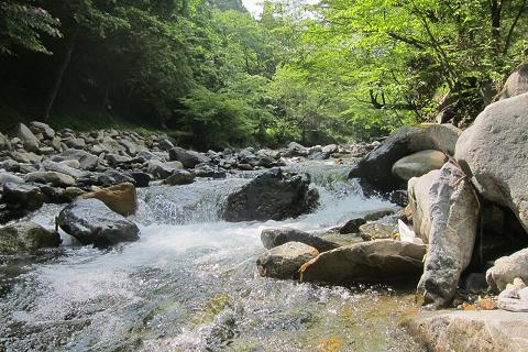 イメージ 10