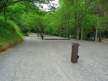 イメージ 11