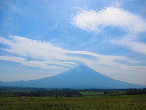 イメージ 17