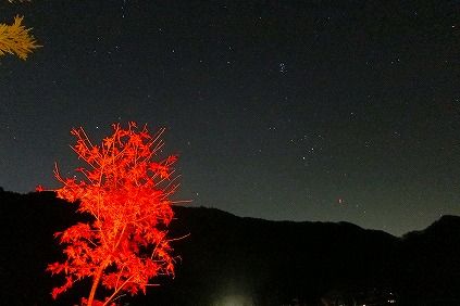 イメージ 20