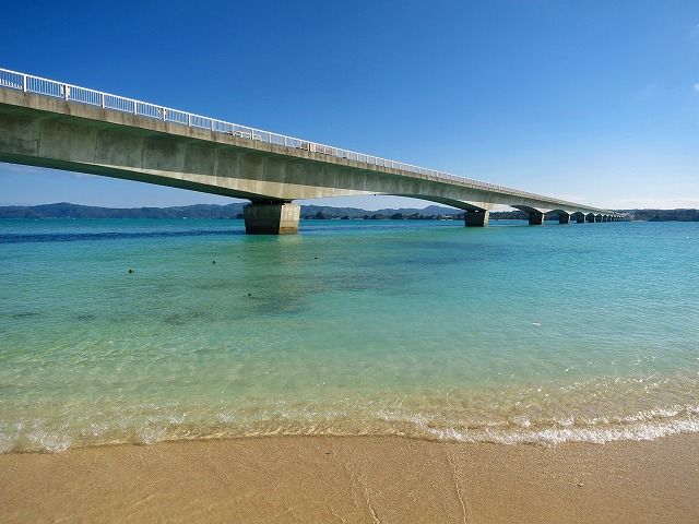 イメージ 13