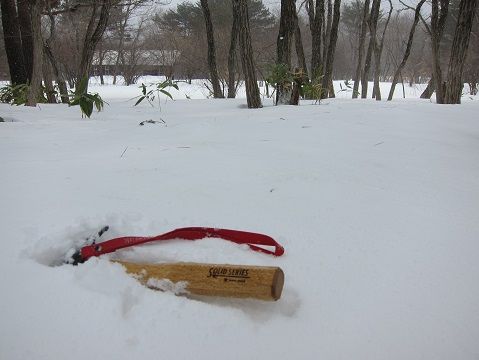 イメージ 17