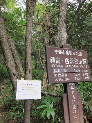 イメージ 15
