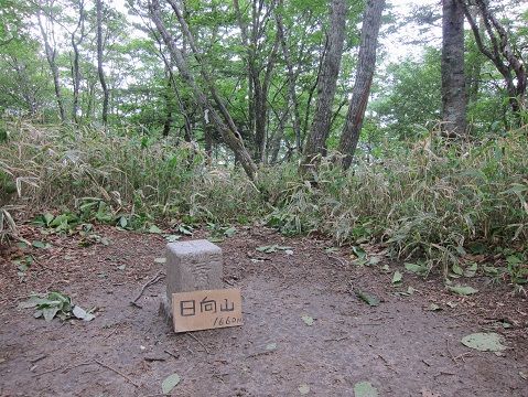 イメージ 3