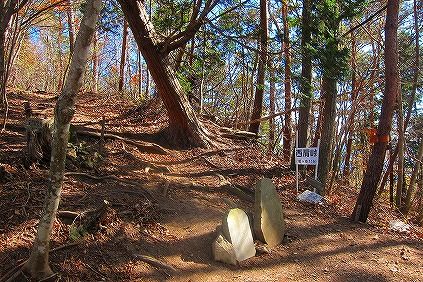 イメージ 10