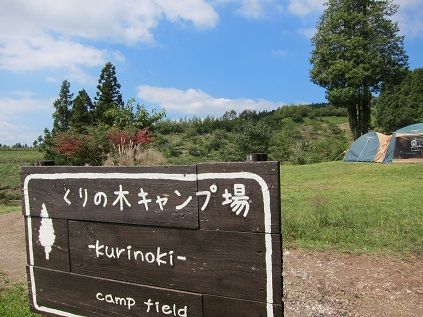 イメージ 17