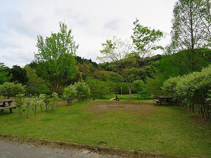 イメージ 4
