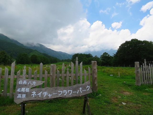 イメージ 10
